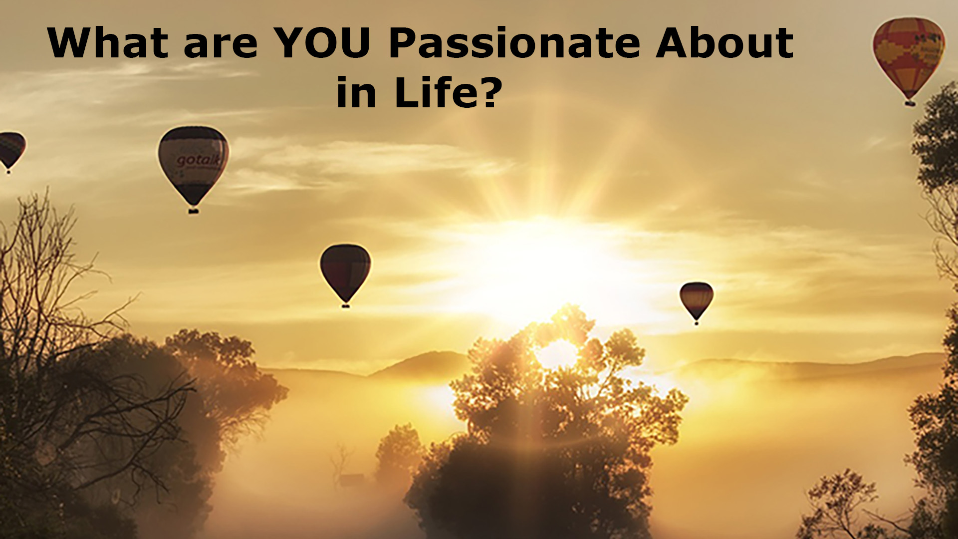 What are You Passionate About in Life
