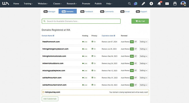 Domain is registered at WA